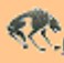 animal 2